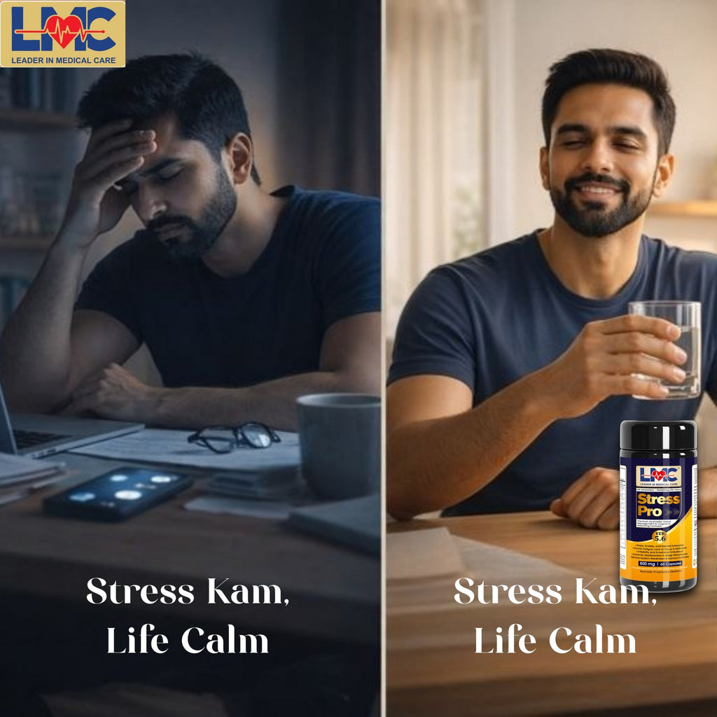 LMC STRESS PRO V5.6