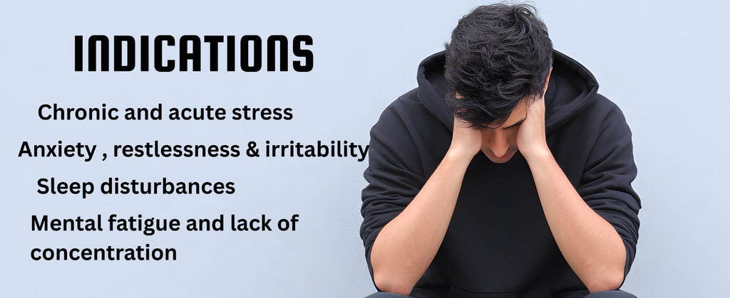 LMC STRESS PLUS V5.5