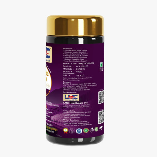 LMC DIABACARE PRO V6.96